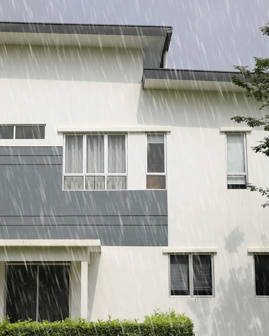 Cat Waterproofing Jotun